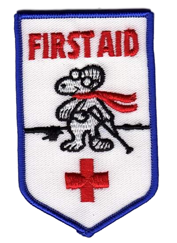 H-273 First Aid - BenchmarkSpecialAwardsCo