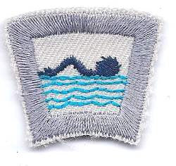 60 Swimming - BenchmarkSpecialAwardsCo