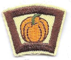 62 Pumpkin - BenchmarkSpecialAwardsCo