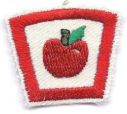 65 Apple - BenchmarkSpecialAwardsCo