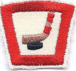 70 Hockey - BenchmarkSpecialAwardsCo