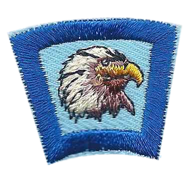 73 Eagle - BenchmarkSpecialAwardsCo