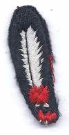 79 Feather black-Individual Achievement Award - BenchmarkSpecialAwardsCo