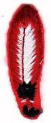 81 Feather red-Individual Achievement Award - BenchmarkSpecialAwardsCo