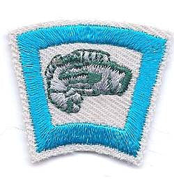 8 Fish - BenchmarkSpecialAwardsCo