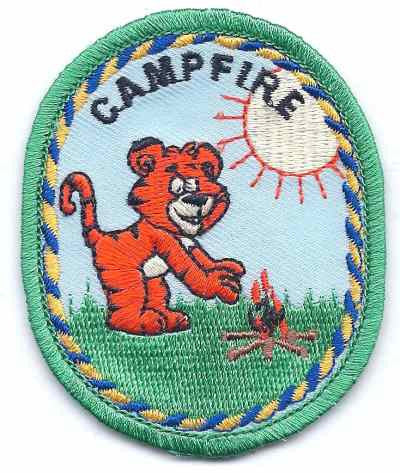 A-11 Campfire - BenchmarkSpecialAwardsCo