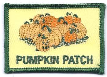 A-71 Pumpkin Patch - BenchmarkSpecialAwardsCo