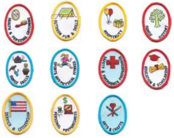 A-97 Activity Collection (11patches) - BenchmarkSpecialAwardsCo