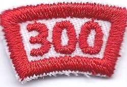 B-464 300 Mileage/Number Segment-curve (limited stock, this patch will be discontinued) - BenchmarkSpecialAwardsCo