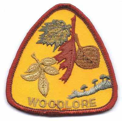 H-238 Woodlore - BenchmarkSpecialAwardsCo