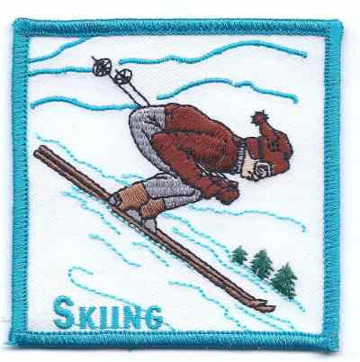 S-313 Skiing - BenchmarkSpecialAwardsCo