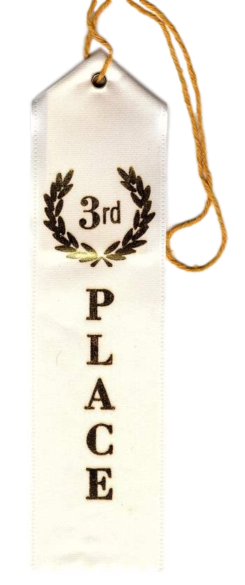 A-100 Third Place Ribbon - BenchmarkSpecialAwardsCo