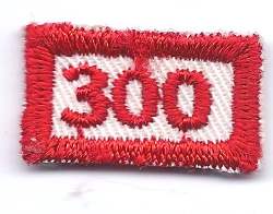 B-459 300 Mileage/Number Segment-rectangle (limited stock, this patch will be discontinued) - BenchmarkSpecialAwardsCo
