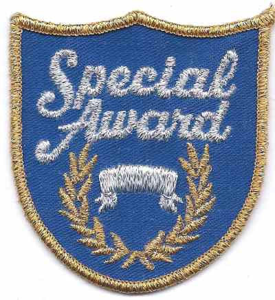 H-261 Special Award - BenchmarkSpecialAwardsCo