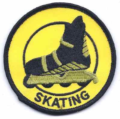 S-319 Skating - BenchmarkSpecialAwardsCo