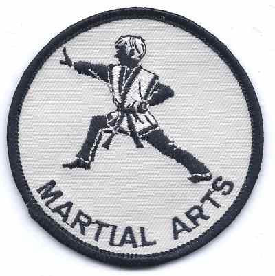 S-321 Martial Arts - BenchmarkSpecialAwardsCo