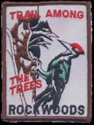 T-518 Trail Among the Trees Rockwoods - BenchmarkSpecialAwardsCo